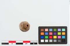 Foto von Beinfibelbügelbesatz (NHMW-PRAE-023971)